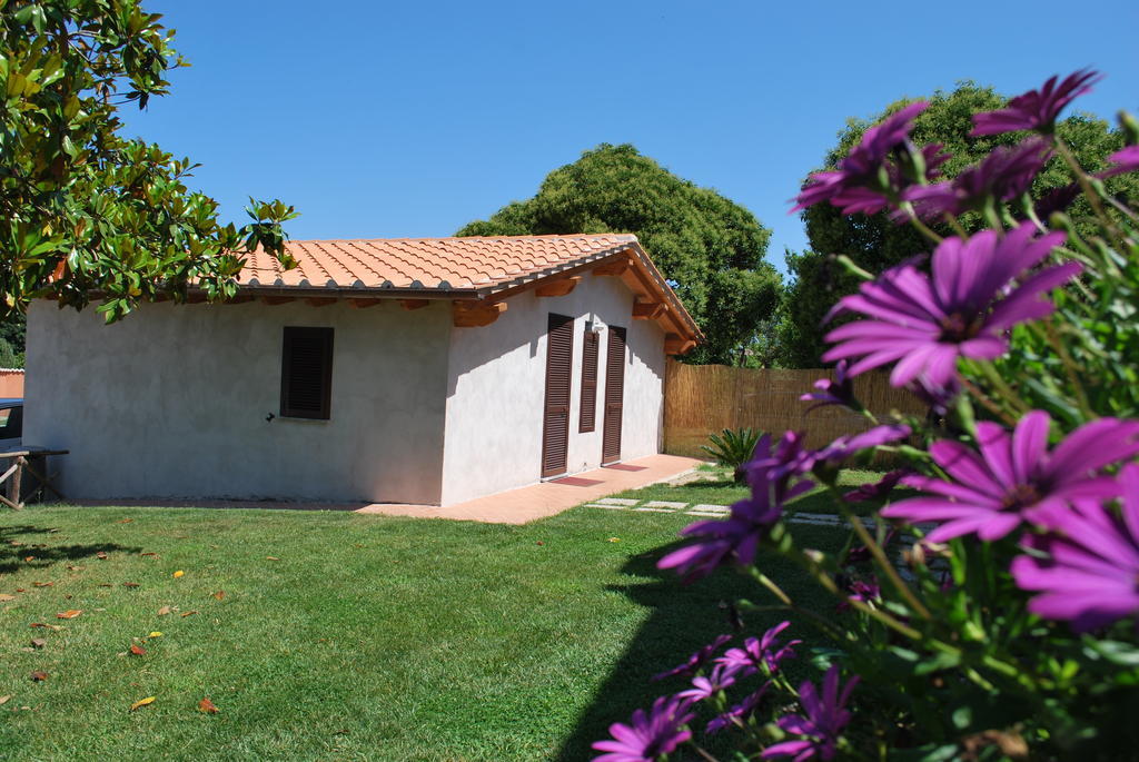Agriturismo La Valle Di Ceri Cerveteri Bagian luar foto